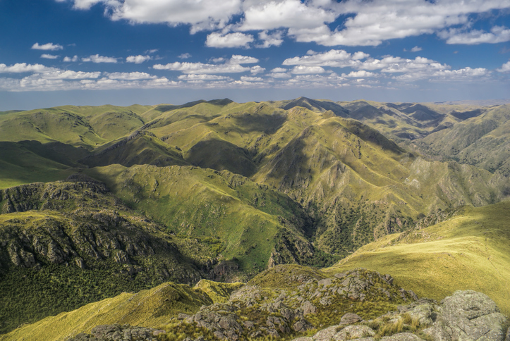 Panaholma en Valle Traslasierra