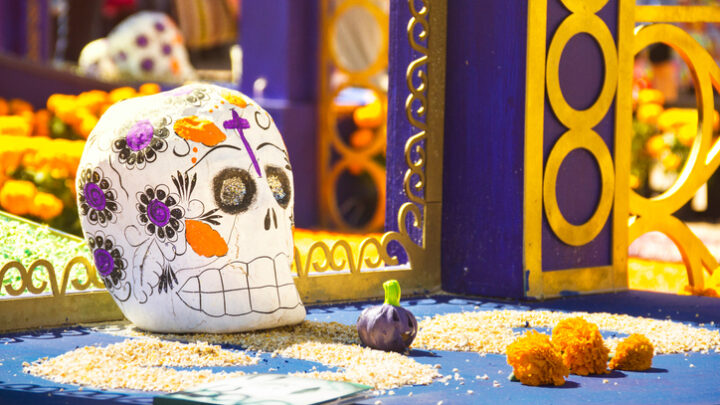 Día de los Muertos 2014 en el DF