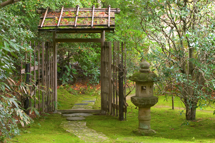 Los Jardines más impactantes en Japón
