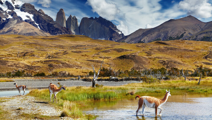 Los mejores parques de Chile para visitar