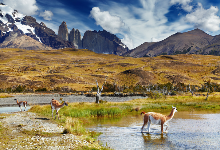 Los mejores parques de Chile para visitar