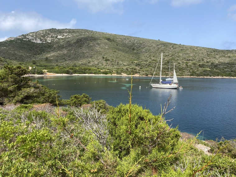Excursiones en barco para disfrutar Mallorca