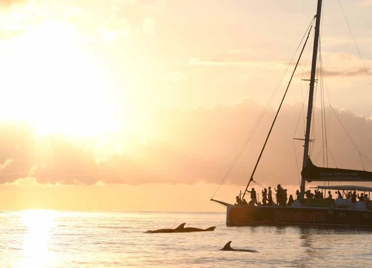 Excursiones en barco para disfrutar Mallorca